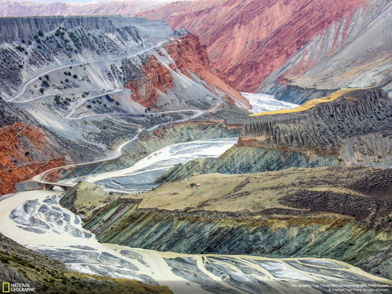 Illustration for article titled The Coolest Images From National Geographic's 2015 Photo Contest